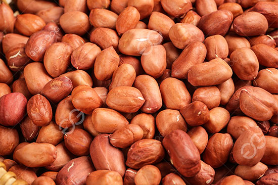 Roasted Peanuts